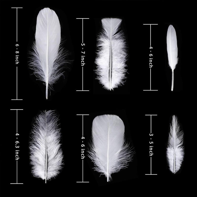 Larryhot White Craft Feathers Bulk - 240pcs 6 Style Mixed Natural Feathers for Wedding Home Party, Dream Catcher Supplies and DIY Crafts (White) - Image 4